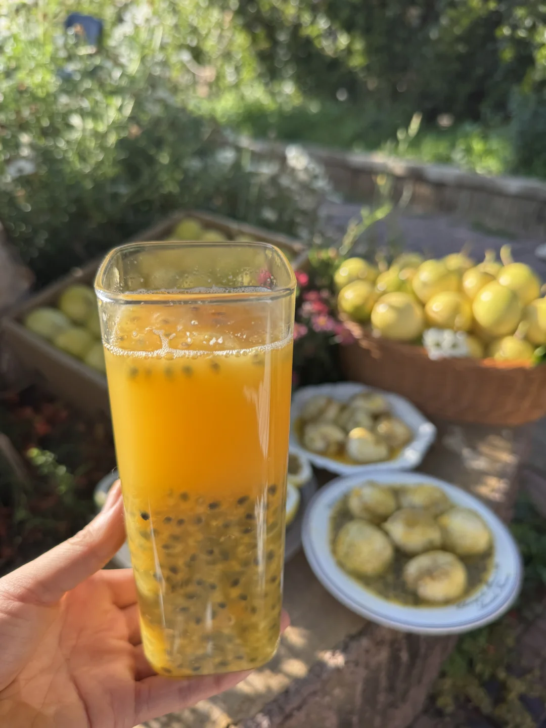 夏天出游他真的太适合了，而且自己就可以做！