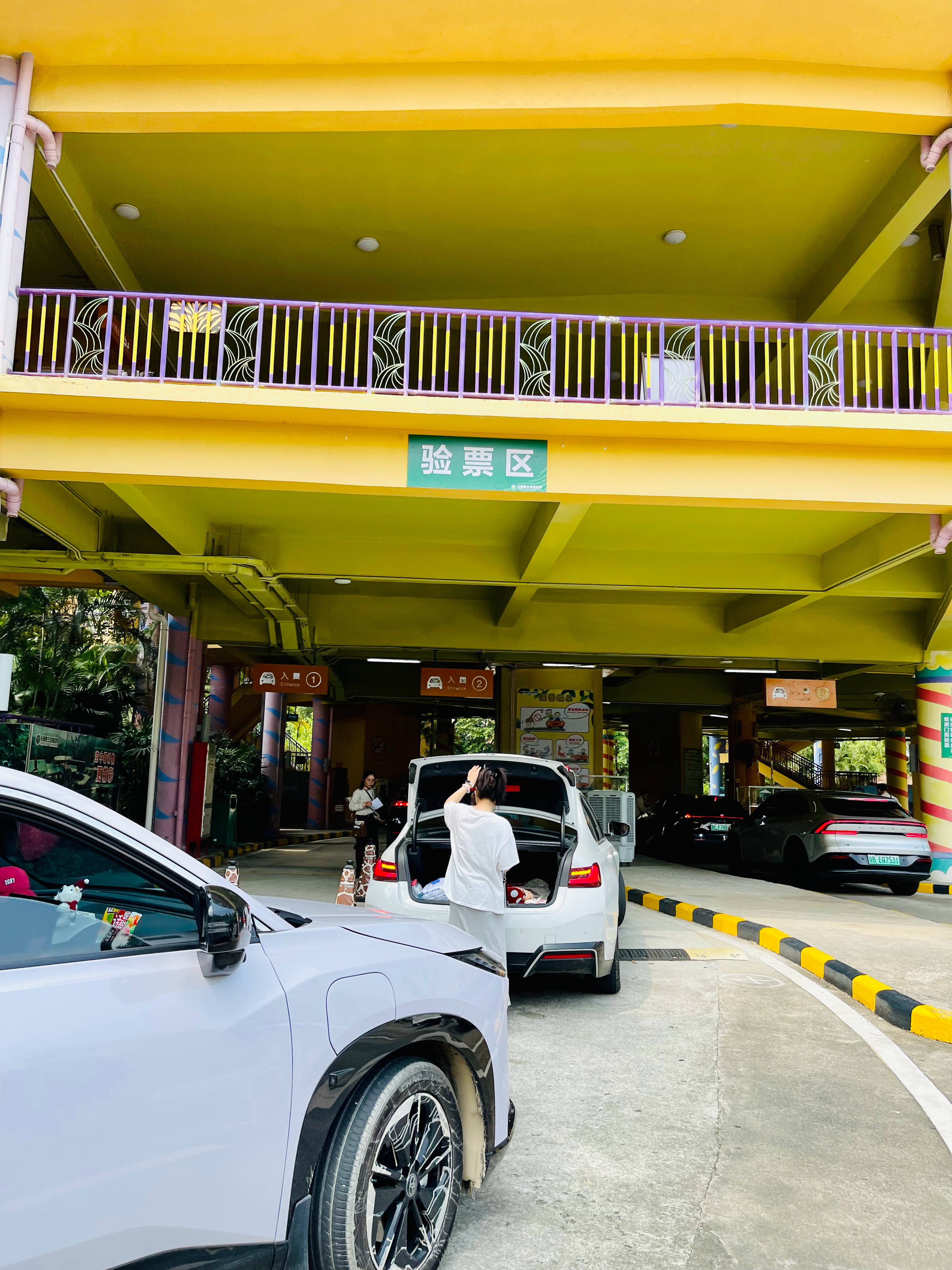 与家人一起，开车游长隆野生动物园。 