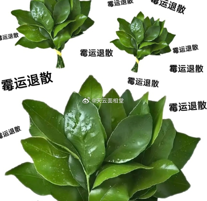 下半年一定会善待我🙏 