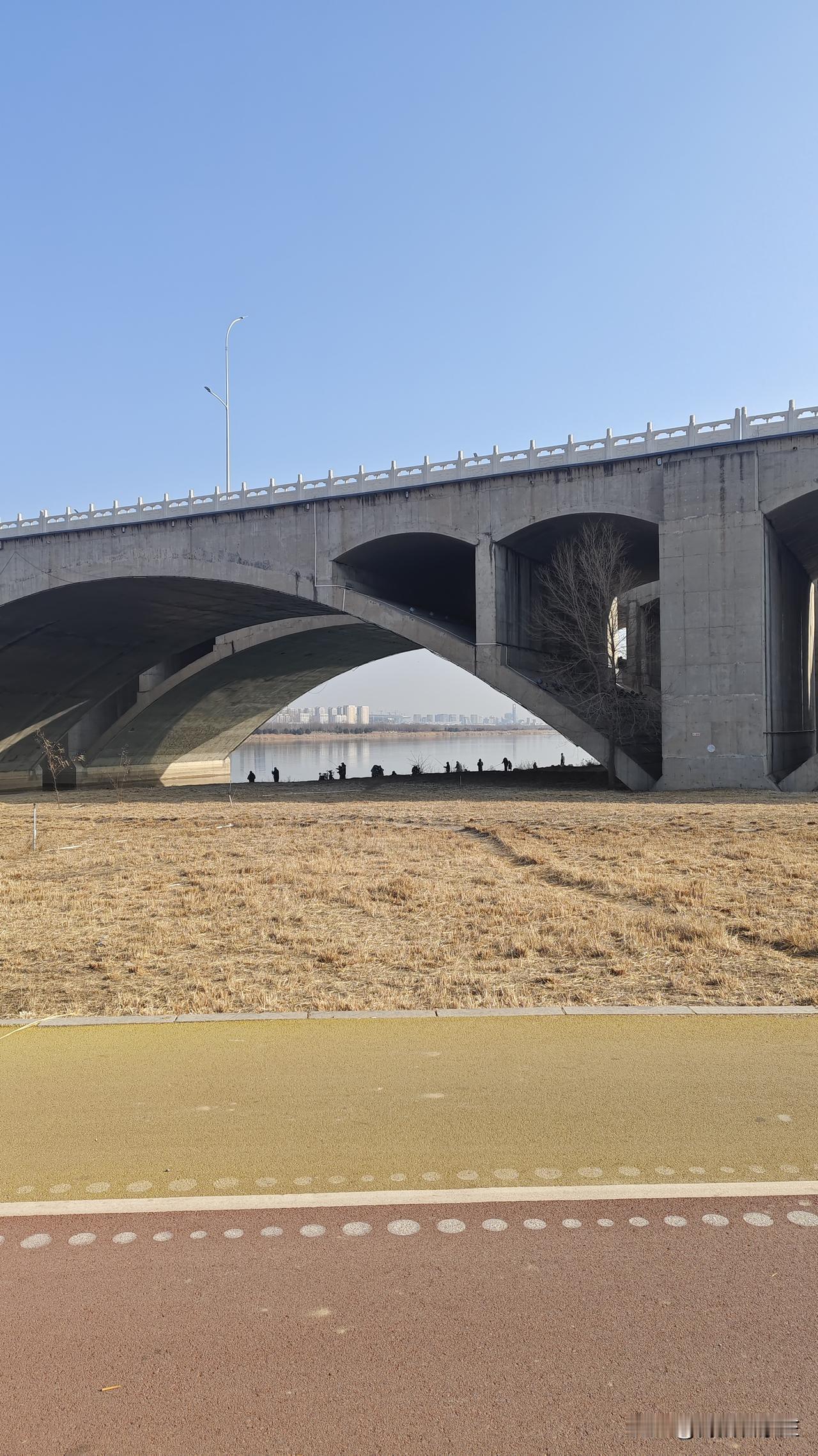 石家庄新城大桥下面，钓鱼爱好者太多了！
这里过去有养殖区，后来撤了。
其实这里的