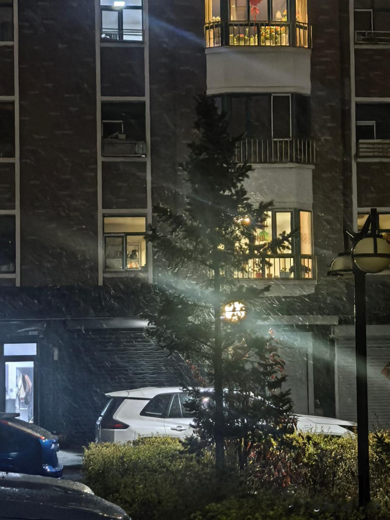 这几天呼伦贝尔连续下雪，降温，冬天真的来了…洁白的雪花飘飘洒洒满天飞！