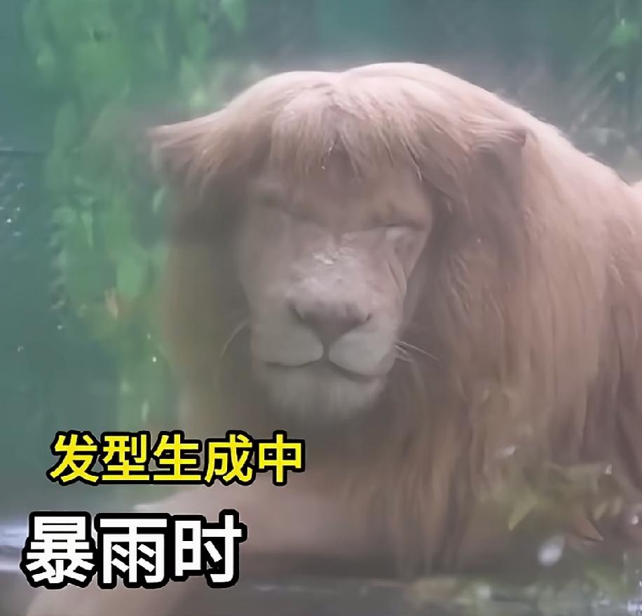 农民种一亩地一年能挣多少钱?

种一亩地一年能挣多少钱？
我的经历告诉我，一亩地
