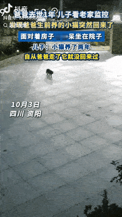 “万物皆有灵！”四川资阳，一男子翻看老家监控时，无意间发现消失1年的小猫突然回来