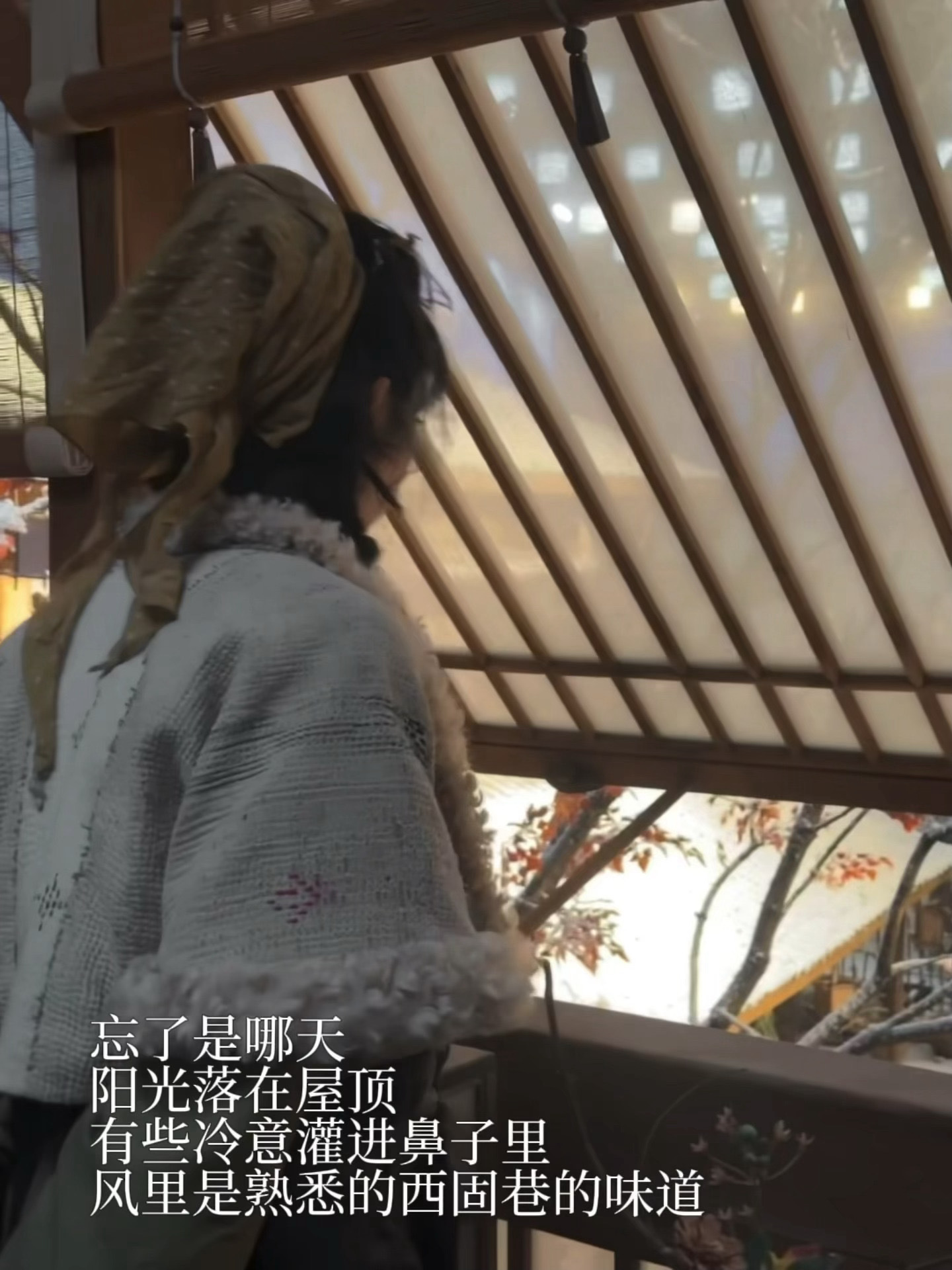 西固巷的樊长玉是也田曦薇