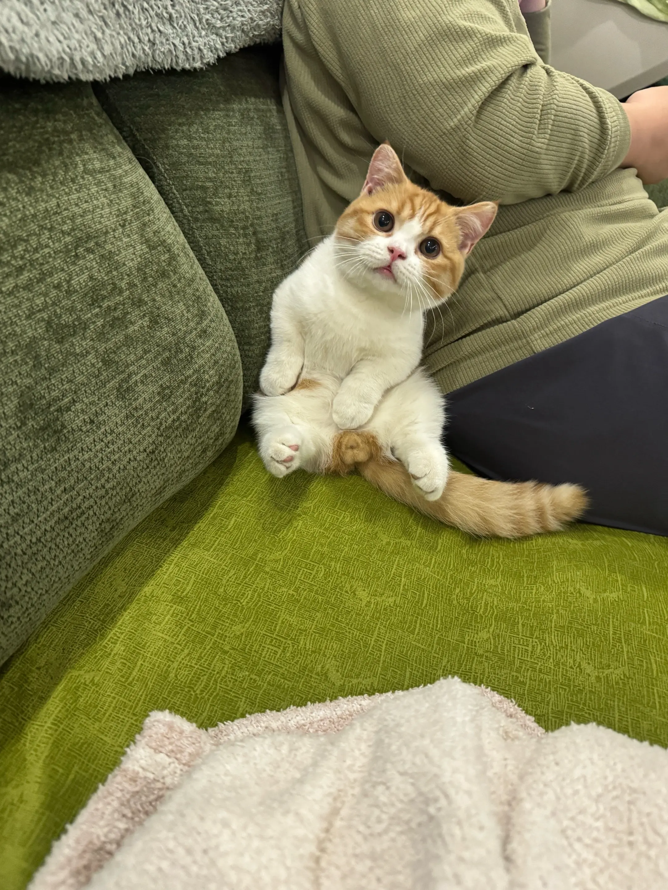 你找本咪有什么事？