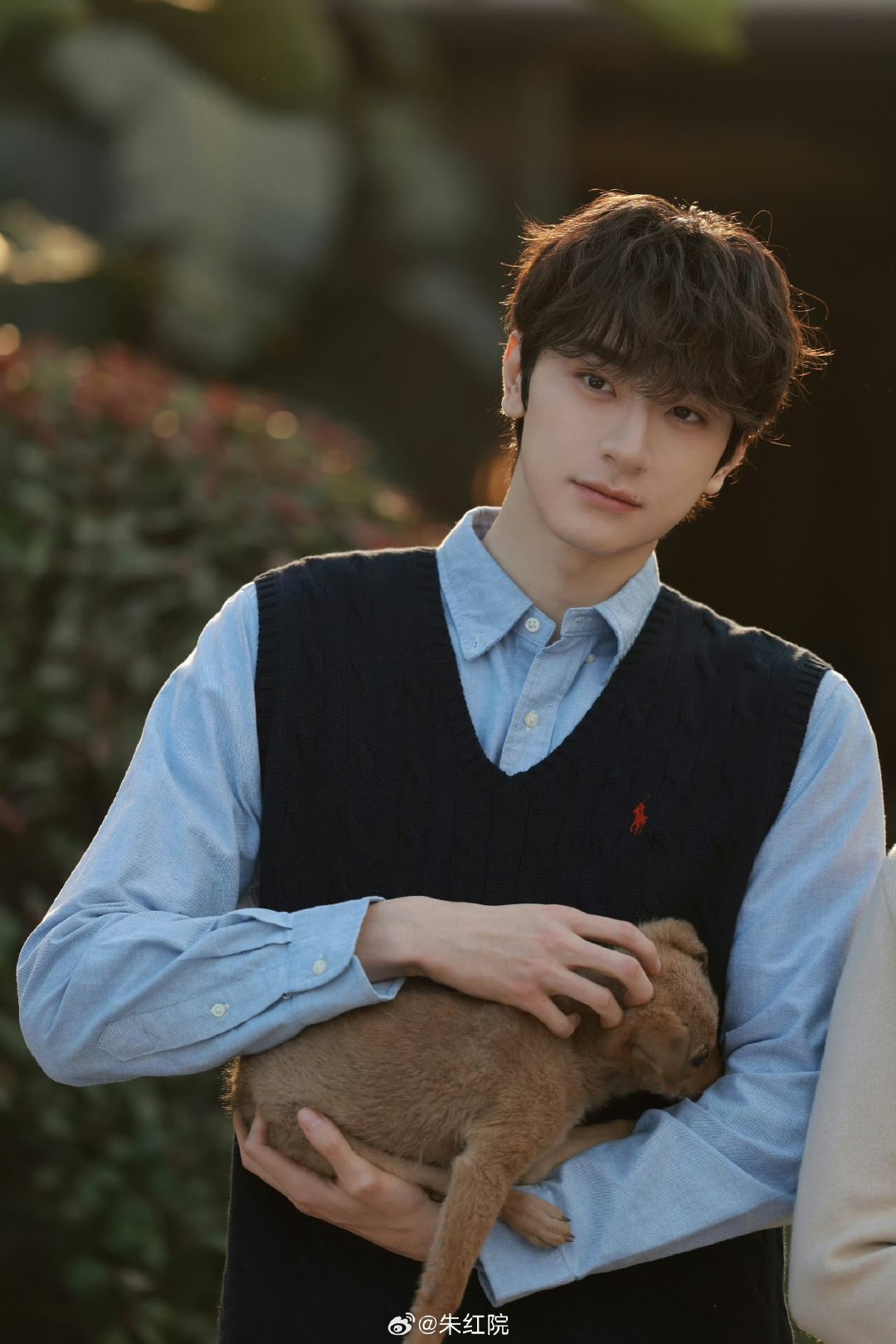 关晓彤林一二搭 关晓彤林一或将合作 关晓彤林一或将合作 