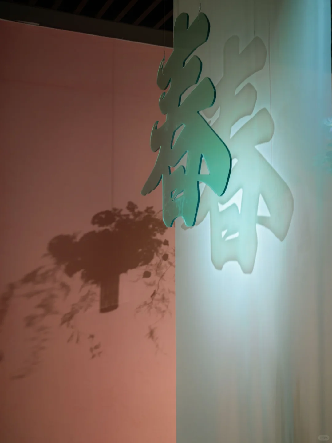 杭州今年最值得去的绝美纳凉地🍃免费快冲