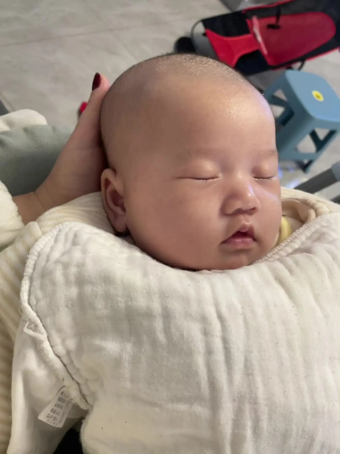 我的小猪八戒 越来越漂亮啦❤️