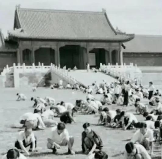 1949年，国家组织了7万人在北京故宫里清理垃圾，历时9个月清理出清末以来近40