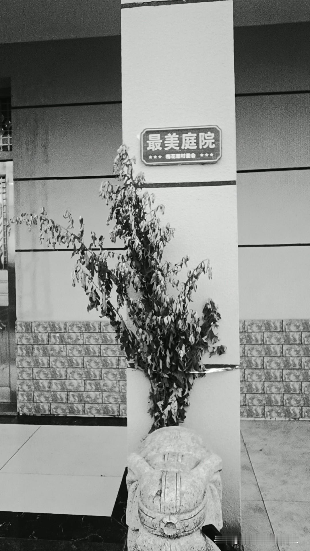 老家：岁月静好。