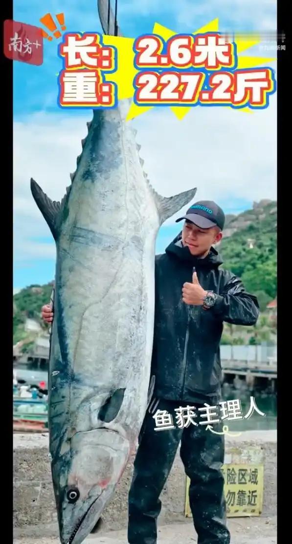 11月29日清晨，当第一缕阳光穿透薄雾洒在庙湾海域时，一场人与海洋的传奇邂逅正在