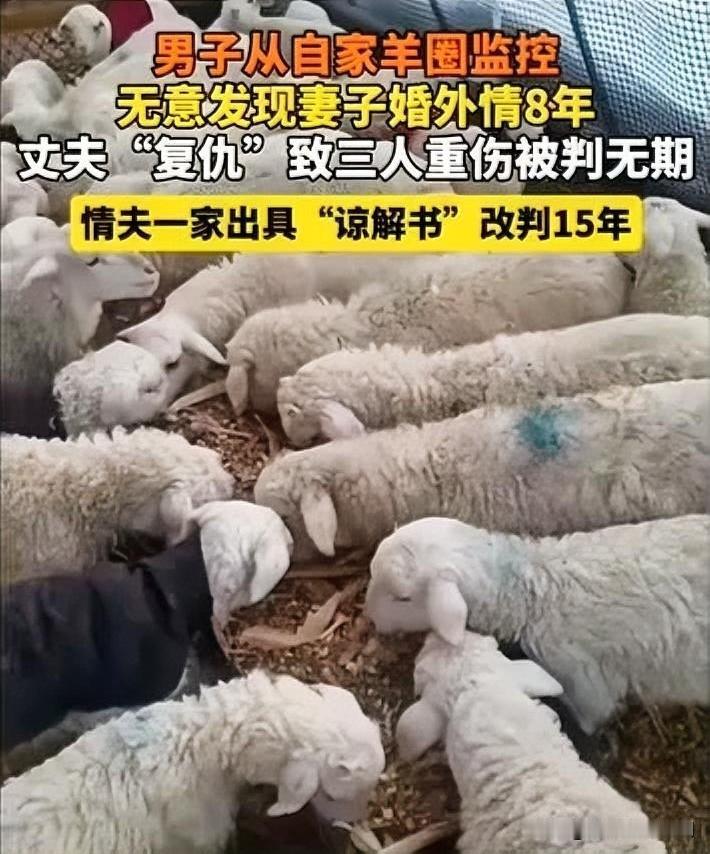 8年隐秘情殇：羊圈监控撕开婚姻残酷真相

男子本为查看羊圈状况打开监控，却意外撞