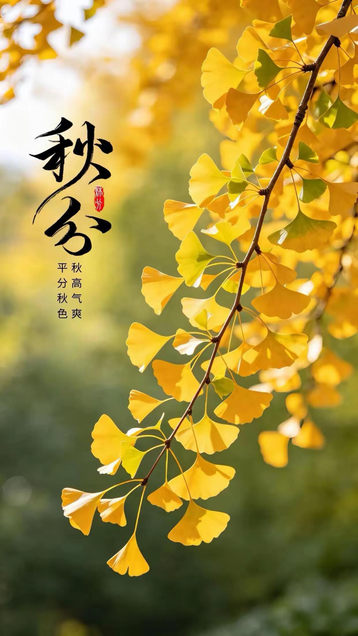 秋分，昼夜等分，秋季平分。

此时，秋天刚好过了一半，一半微凉，一半秋阳；一半热