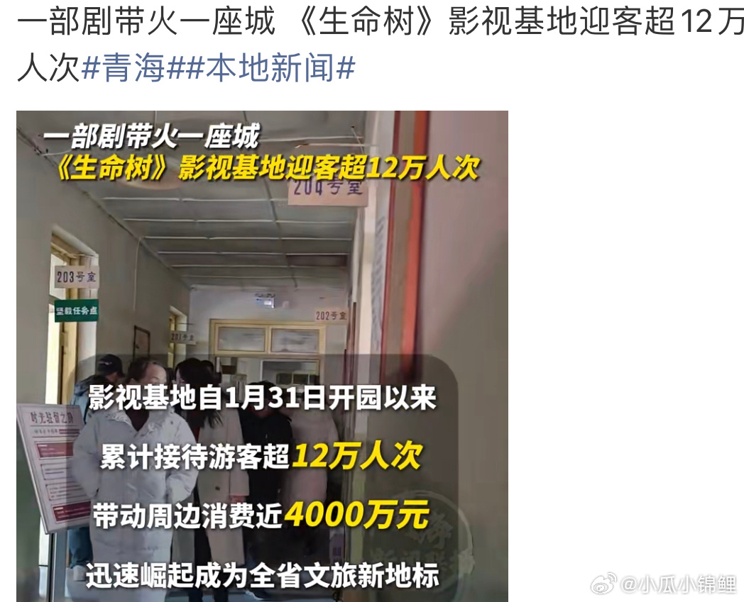 生命树真的很棒啊