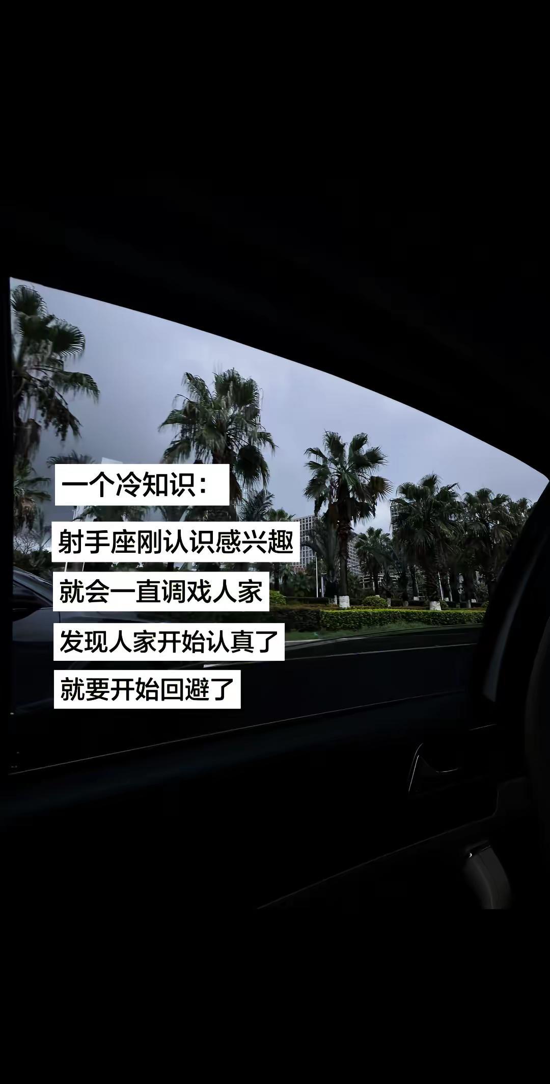 暧昧没输过 恋爱没赢过