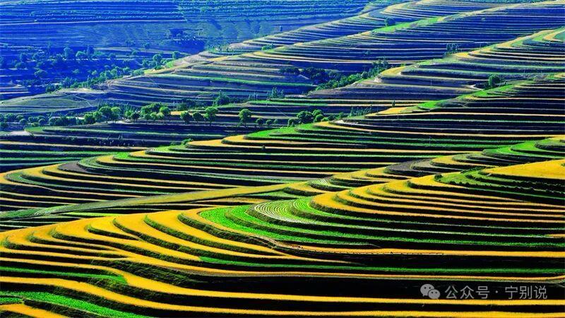 官海掀涛画人妖，
书山揭密写文韬。
攻城拔寨无簿面，
坐地观星有情操！
老黎
