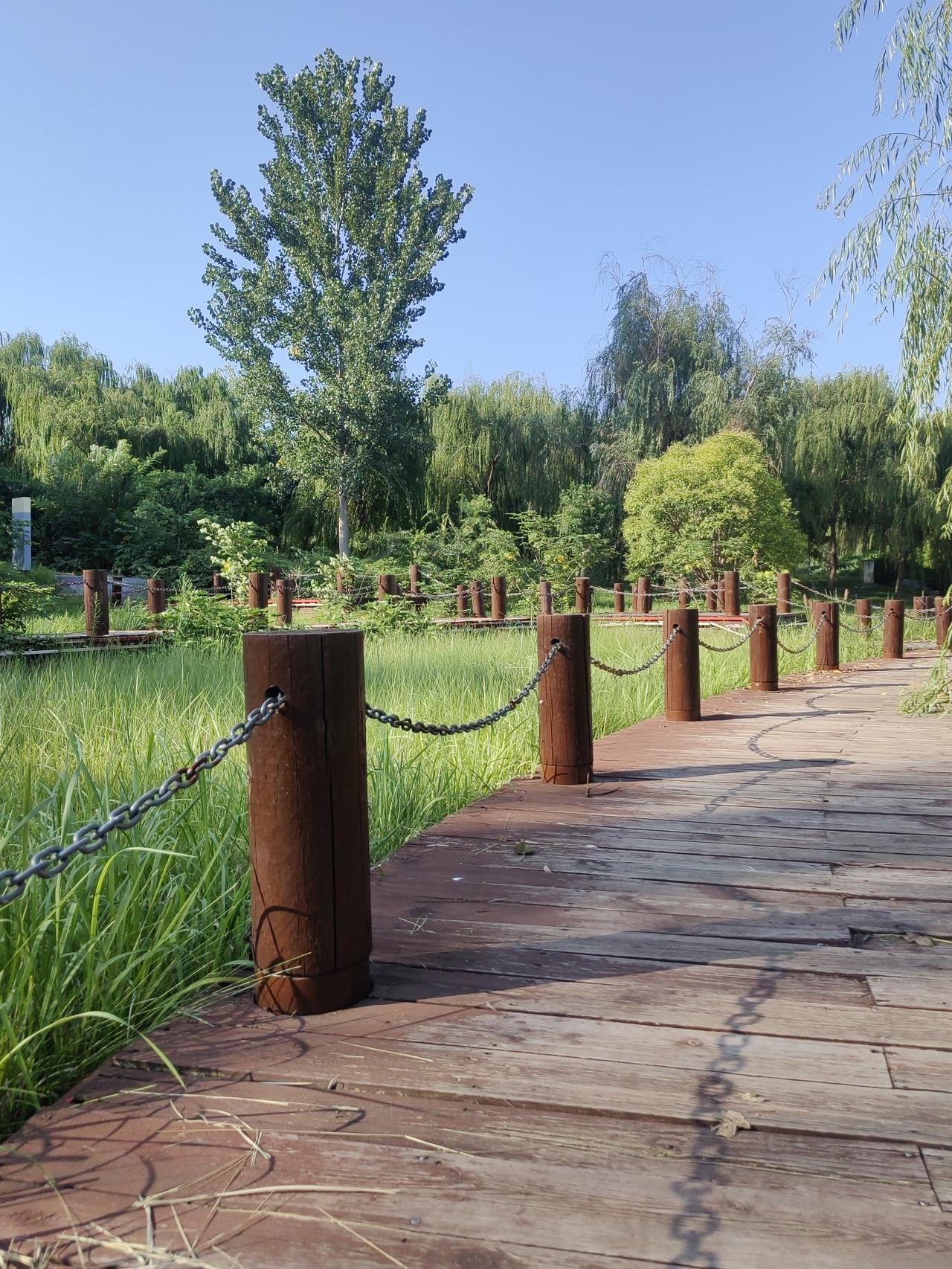 中秋节美景