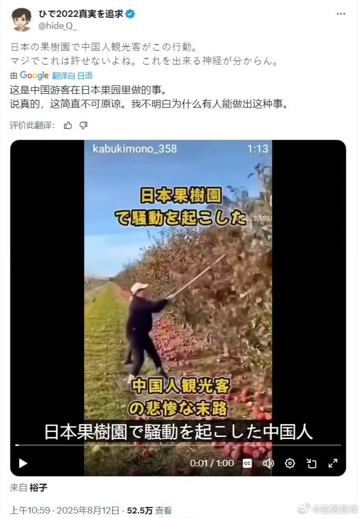 日本账号盗用我国农民摘苹果的视频，污蔑我们在日本的苹果园搞破坏 ​​​