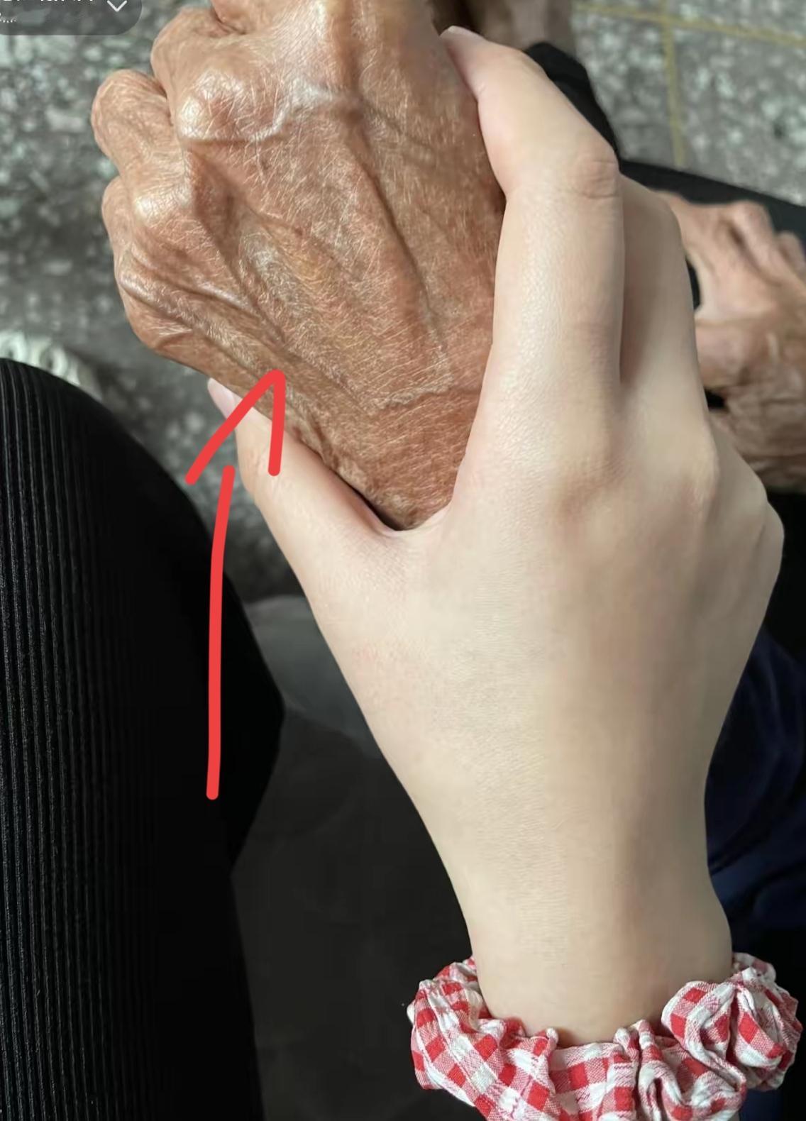 99岁老人一句“以后别给我做饭了”，竟成最后的告别，这才是人生最圆满的结局吧！