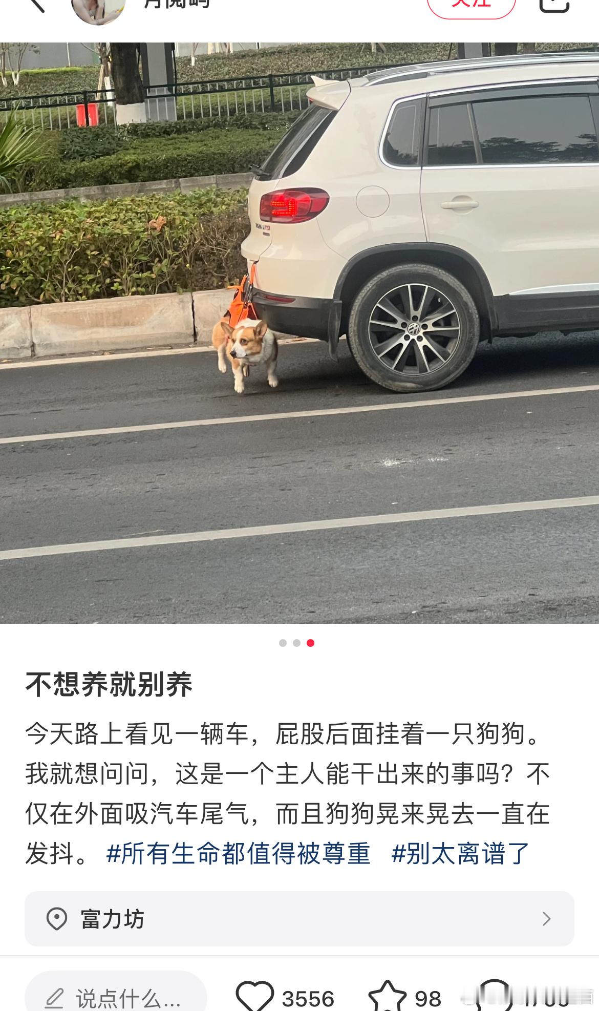 这样的人可不可以jb危险驾驶？不想养就别养 路上一辆车，屁股后面挂着一只狗狗。 