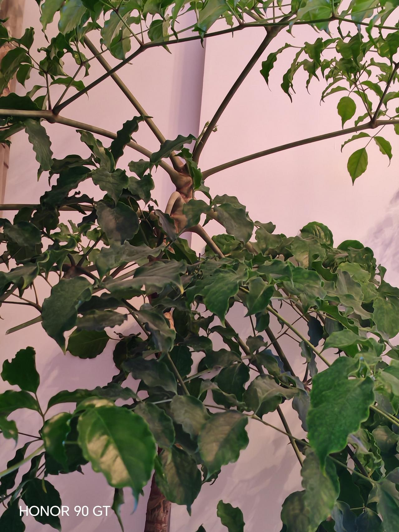 春天花会开，
快乐每一天。