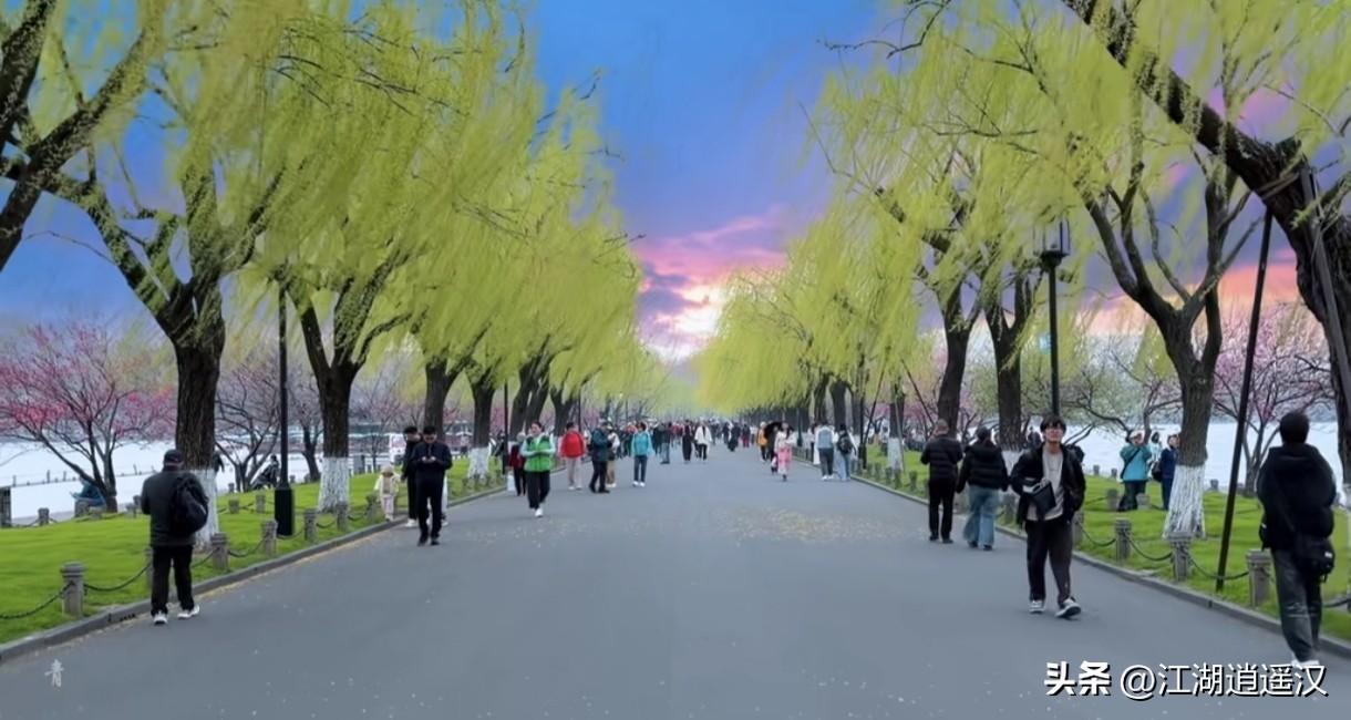这几组照片真的把西湖春日氛围感拉满了！嫩绿的垂柳如轻纱般垂落，粉嫩的桃花在枝头绽