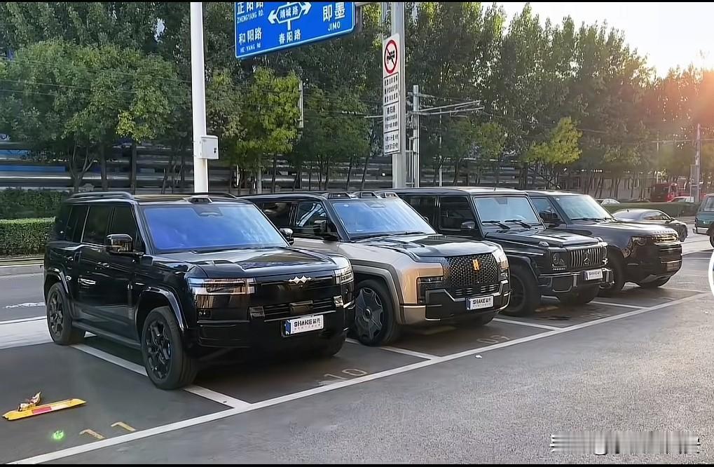 这是国内某品牌今年新上市的

一款中大型SUV，

在没有任何上市宣传推广的背景