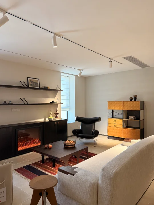 看我在家居店里找到了什么！？