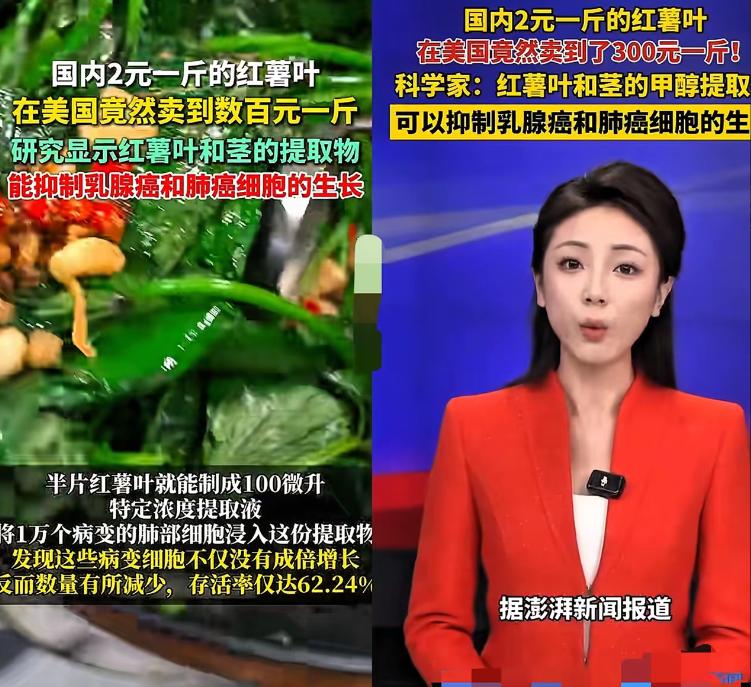 红薯叶在国内，一般是喂猪的，
北方基本没人吃，没想到美国能卖到300元一斤！
原