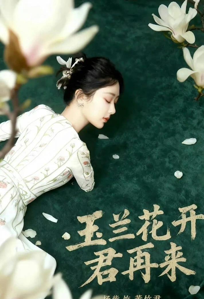 《玉兰花开君再来》：杨紫演绎传奇董竹君，乱世女子的不屈史诗
 
当“期待与董竹君