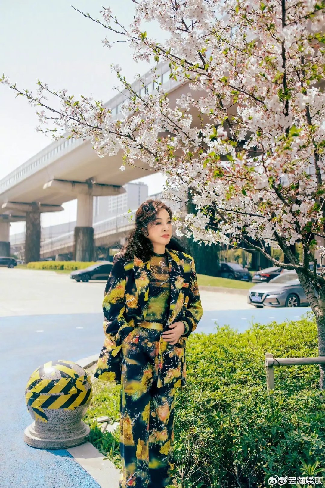 刘晓庆给自己的人生剧本取名为刘晓庆刘晓庆一出场哇声一片 别人写剧本要起名，她直接