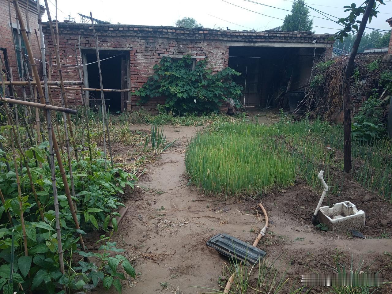 明日四月十五，老人说最怕“四月十五是雨天”，四月十五下雨有啥预兆？看老祖宗怎么说