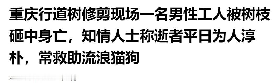 痛心惋惜！重庆行道树修剪突发意外，工人被树枝砸中不幸身亡，生前热心善待流浪猫狗。