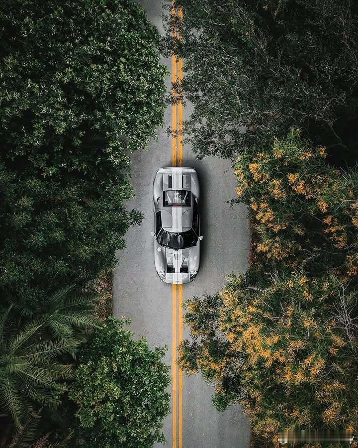 Ford GT福特[超话] ​​​