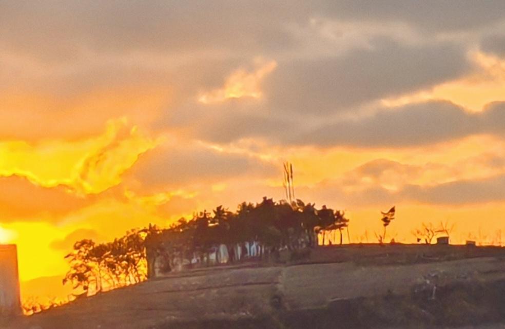 烟台山顶那一丛小松树林
       迎着冷风，披着朝霞，不畏严寒，为小山增光增