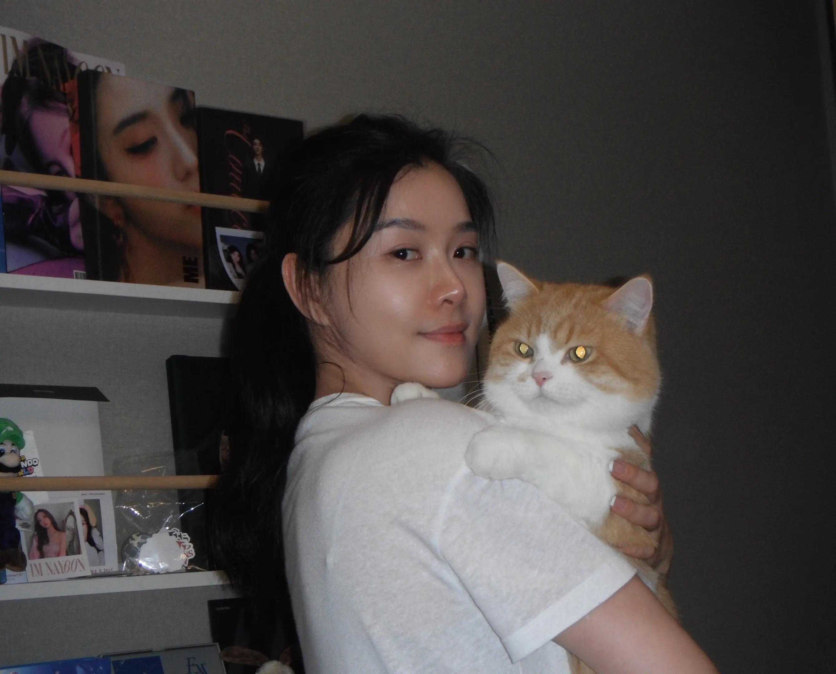 我和我的招财猫