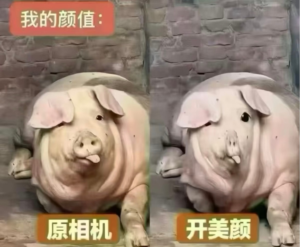 左右都是我 