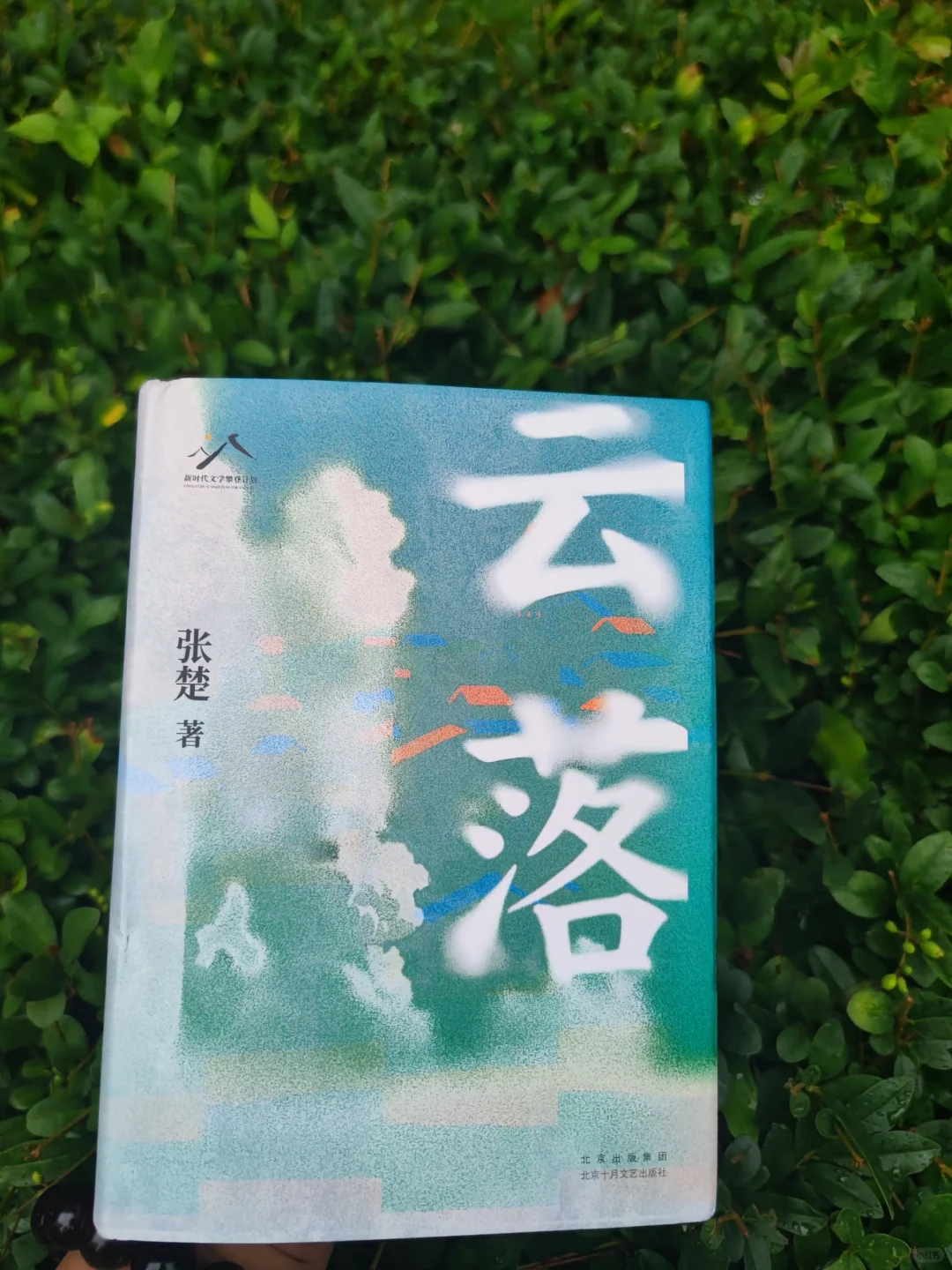 《云落》：县城小人物的成长史