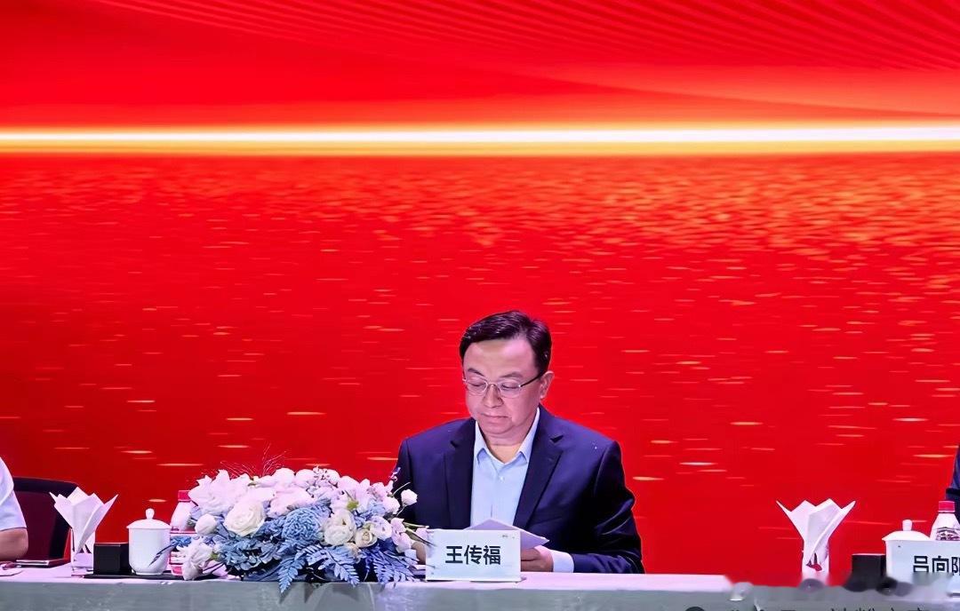 6月9日比亚迪深圳股东大会，王传福直言今年整车销量上限由二代刀片电池决定，电池工