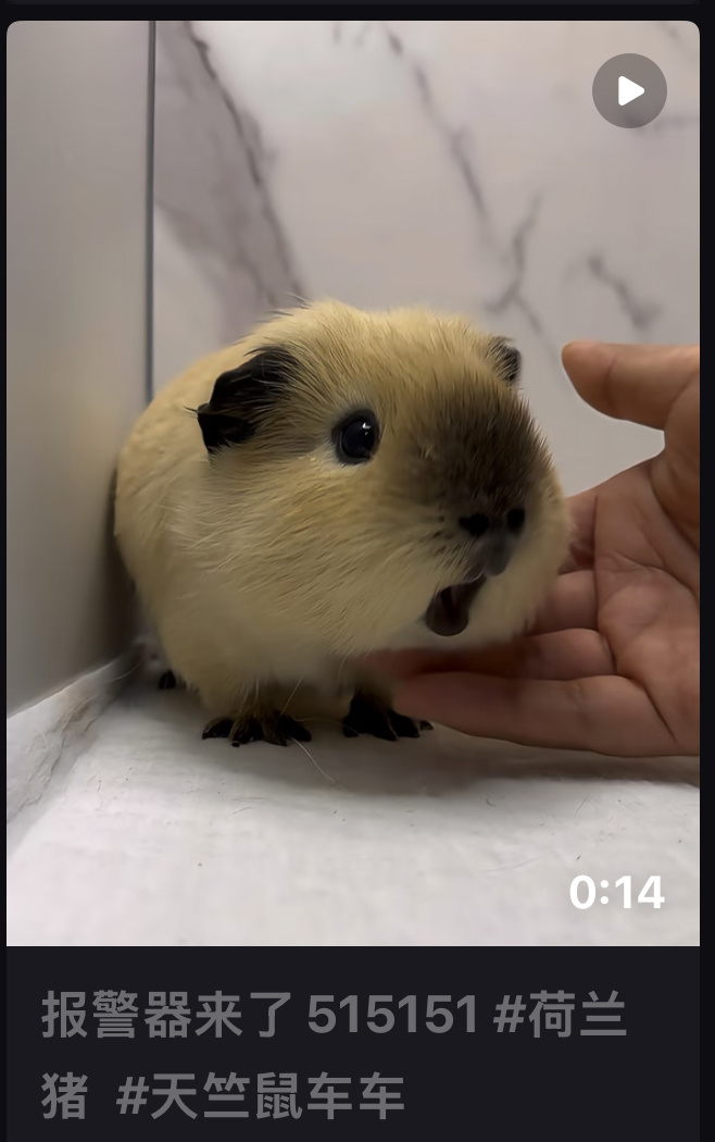 🐶wvs live提及：鳗鱼刺事件🐶本来有事要去找李涵 去找他的时候 李涵正