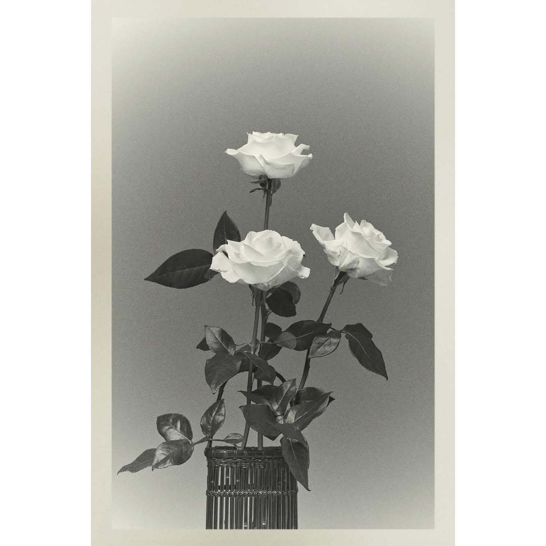 The Row Spring 2026 Collection ​​​