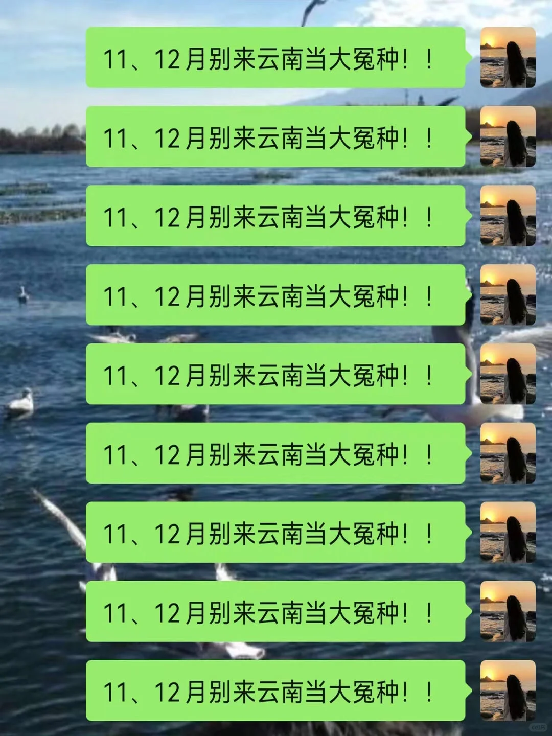 11-12月|云南旅游超全攻略，宝子们避雷💣