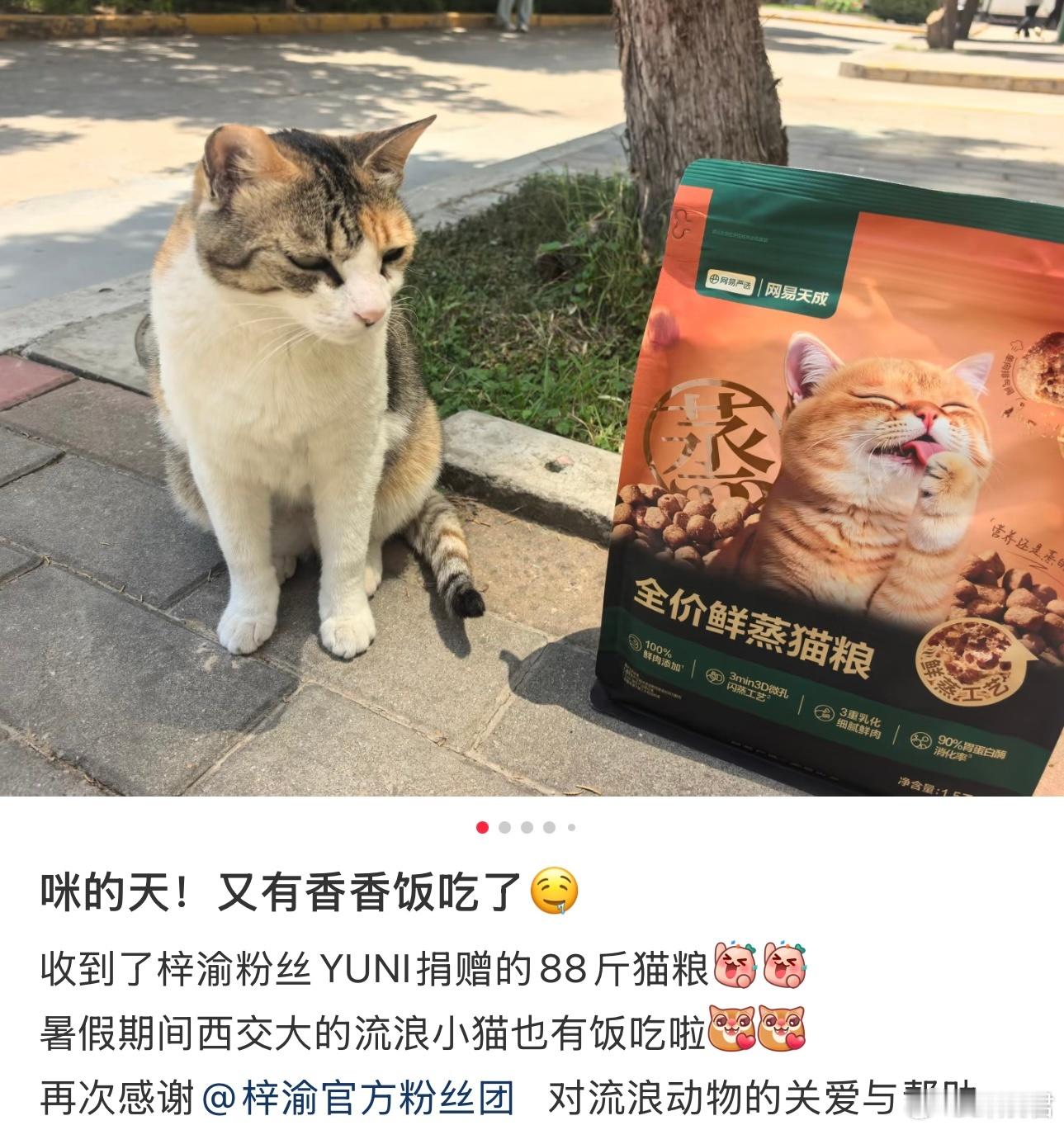 梓渝24岁生日YUNI公益应援：善意一直在传递！梓渝粉丝们这次向76所高校捐赠猫