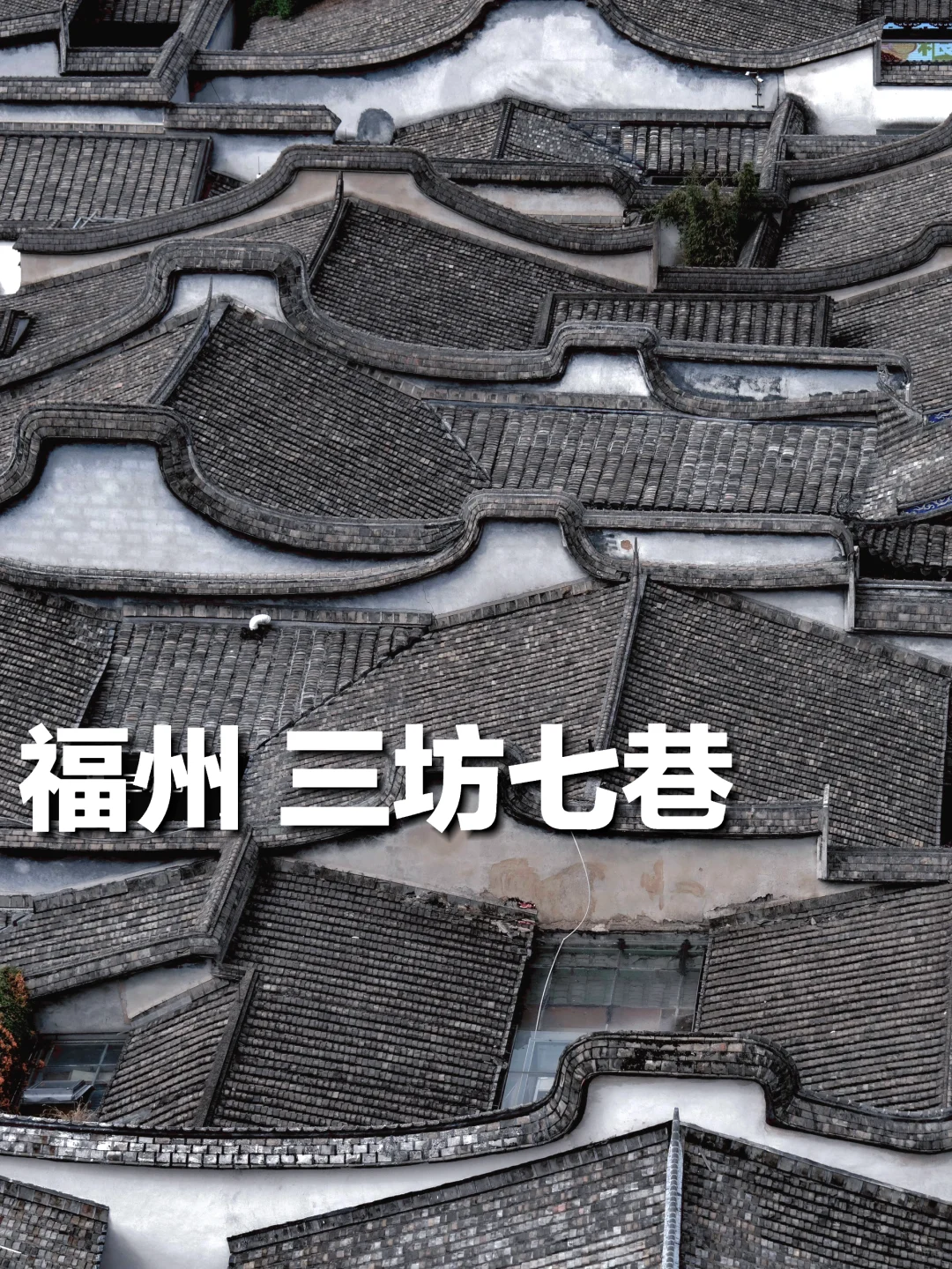 为了这张照片我专门去了趟福州（含机位）