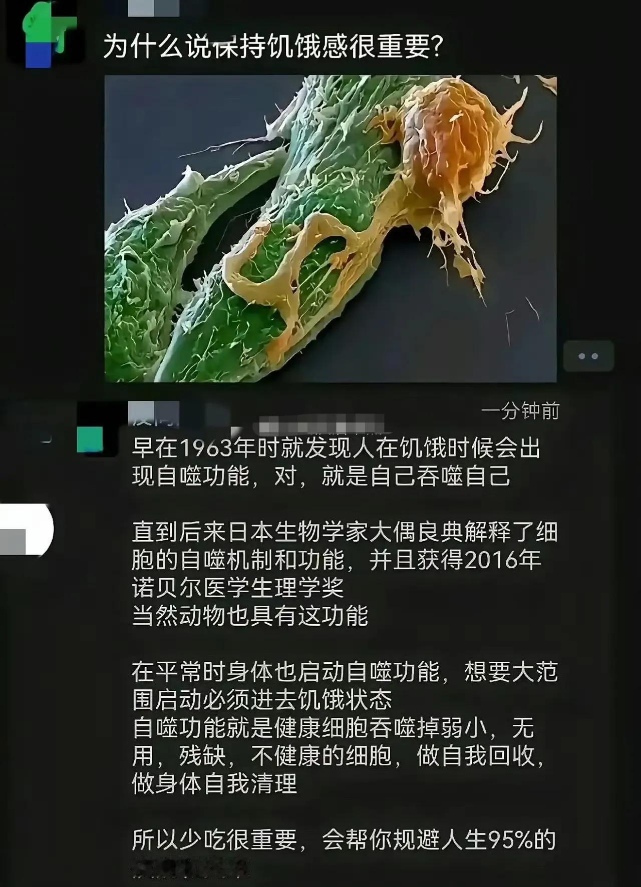 不管图片中说得对不对，但人保持适度的饥饿感确实对健康有利！