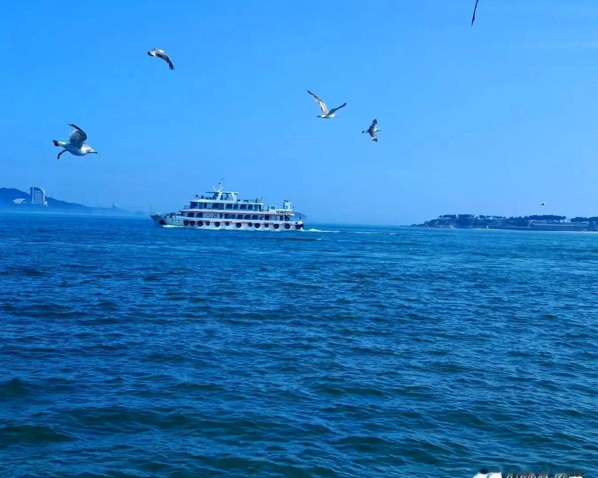 “爸，我第3次没进面。”一句话把县长老周噎在原地。

网友@村口小张补刀：“他爹