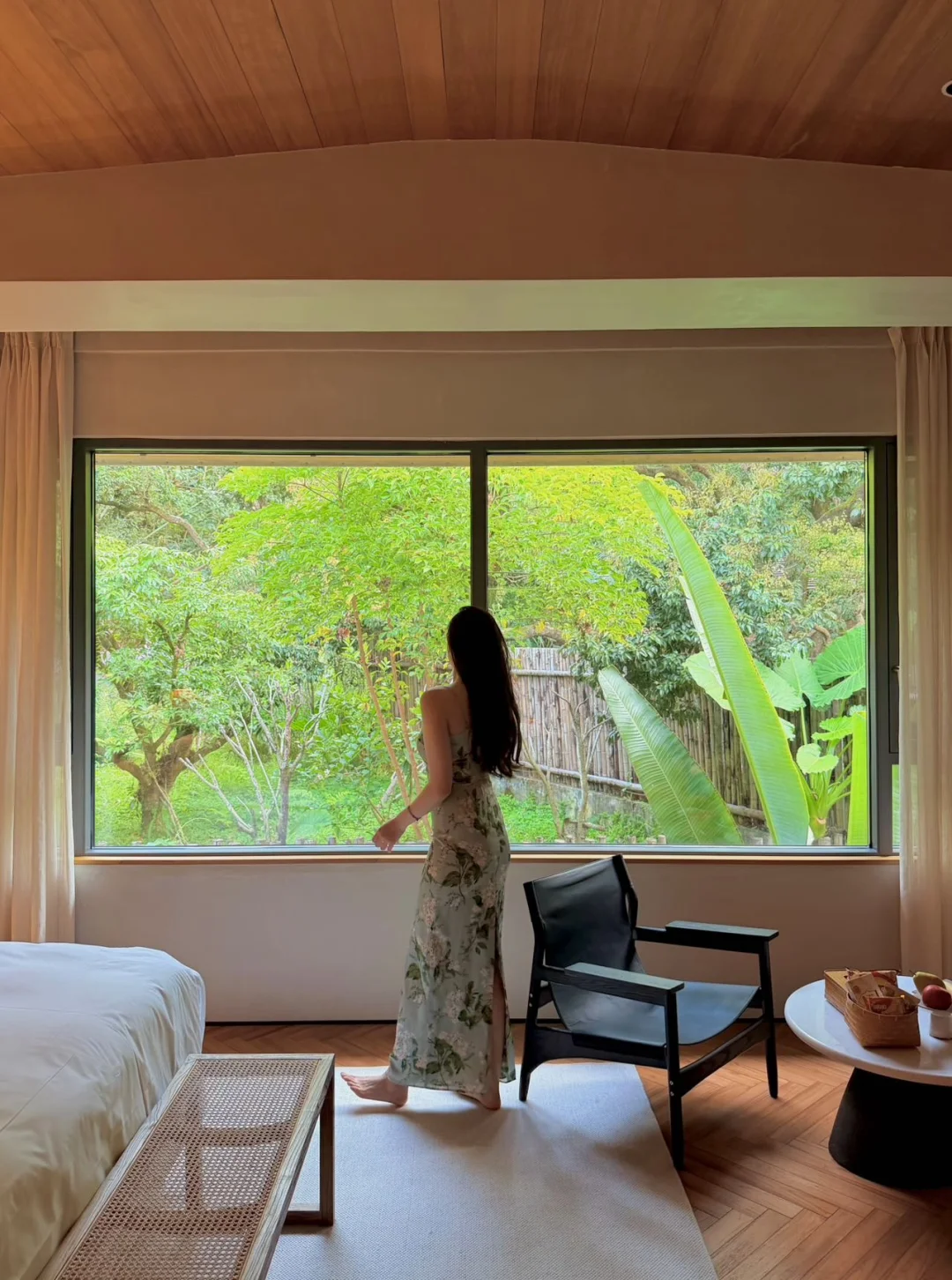 广州从林里｜藏在百年古树下的“绿野仙踪”🍃