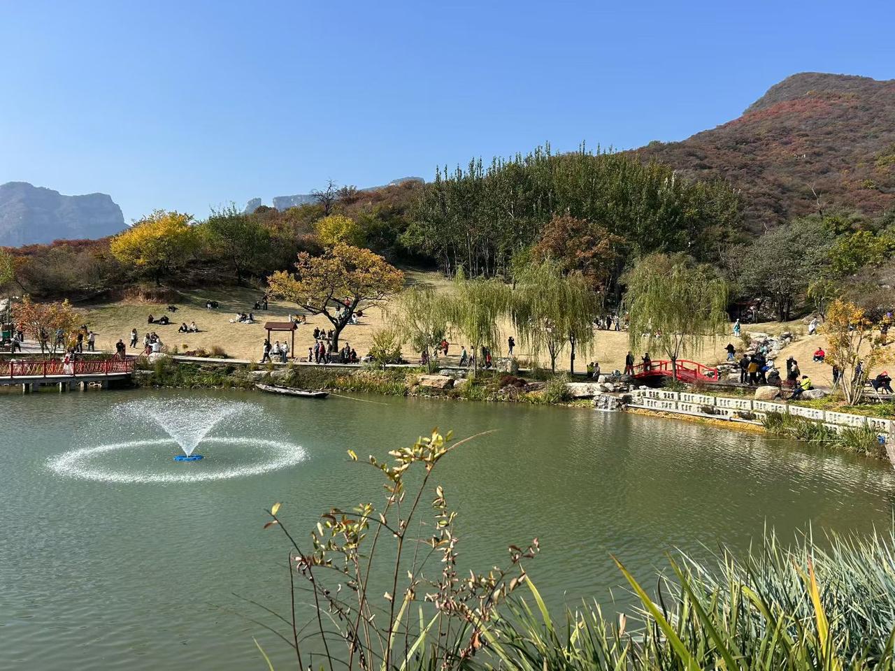 冬日生活打卡季