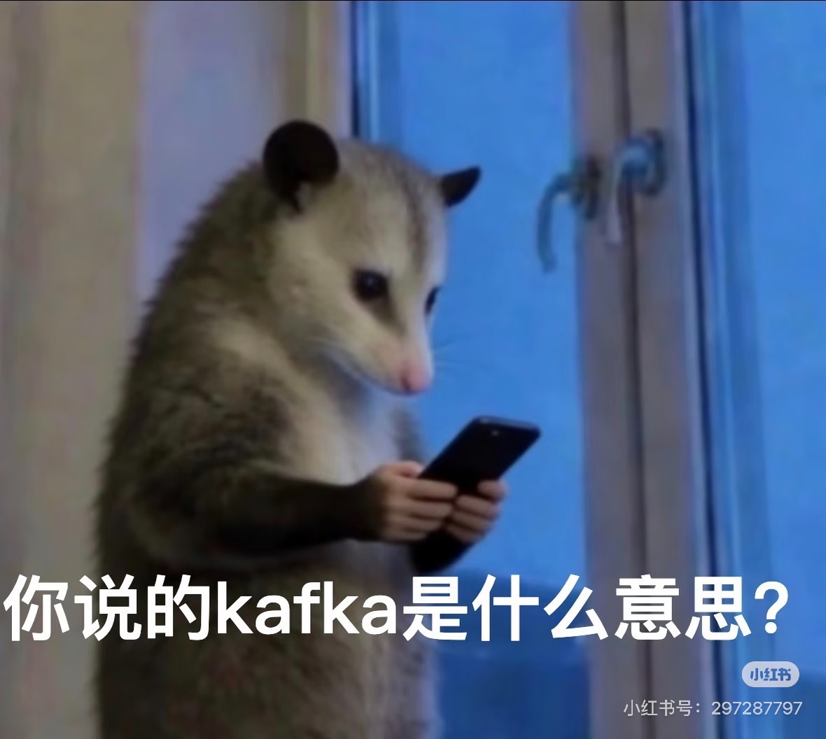 我每天： 