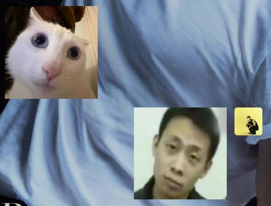 那你能说这长得不一样吗？ 